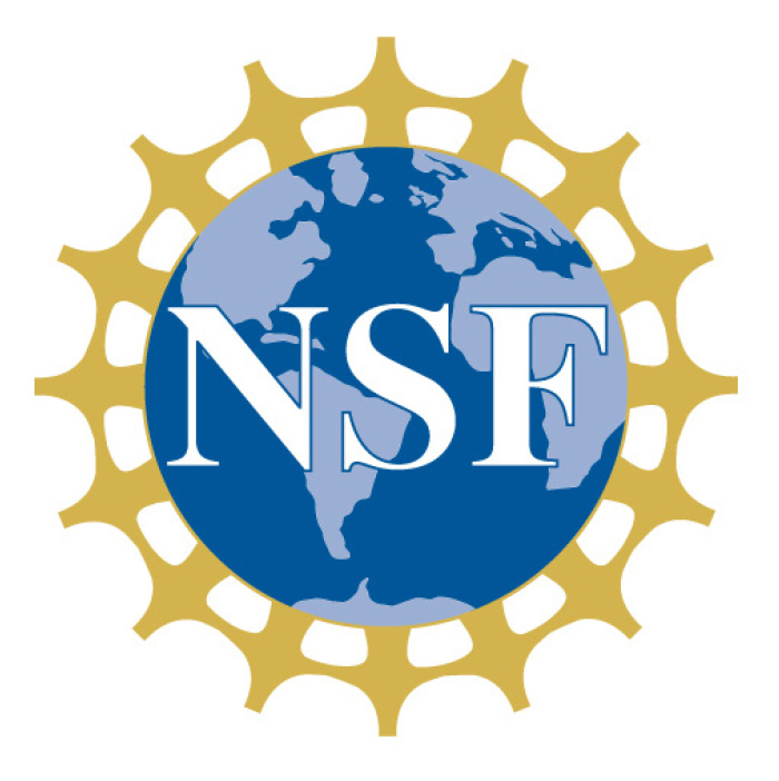 NSF logo